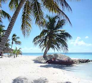 Tagesausflug Insel Saona