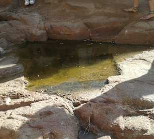 Mitten in der Wüste