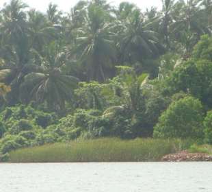 Rückfahrt  Negombo Tour mit Harald