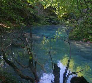Горный нацпарк Истоки реки Уредерра, Наварра