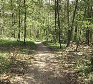 Wanderweg Hochgehwachsen