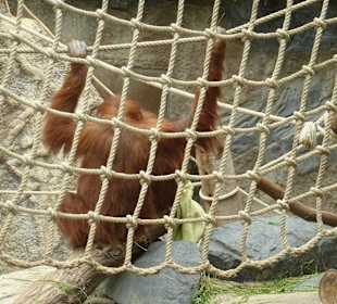 Ich habe keine Lust mich zu zeigen