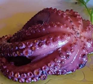 Restaurante la mirada profunda el hierro 