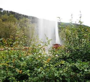 Geysir in Aktion