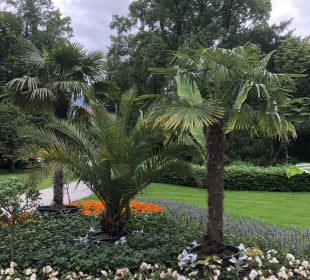 Königlicher Kurgarten Bad Reichenhall