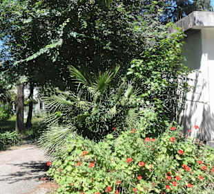 Im Mon Repos Park
