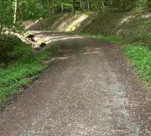Wandertour Feuchtgebiet Schönbuch