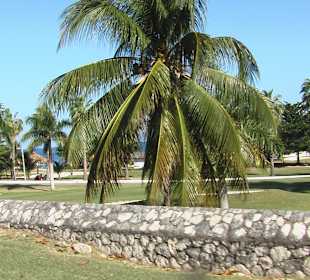 Fahrt nach Montego Bay