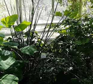 Botanischer Garten