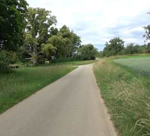 Alte Linde Stockach
