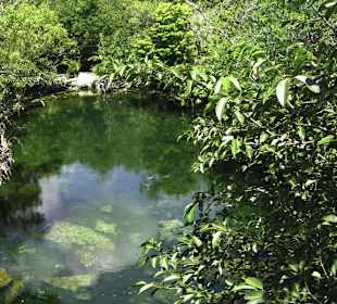 Cenote