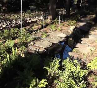 Real Jardín Botánico de Madrid