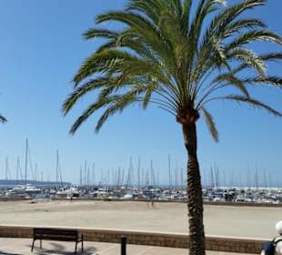 Hafen von Can Pastilla