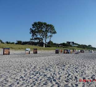 Der Strand mit Windflüchter