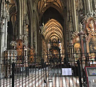 Stephansdom, Kirchenschiff