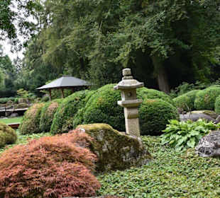 Im Japan-Garten