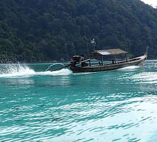 Andaman Snorkel Discovery