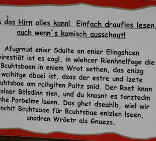 Wald Wipfel Weg mit Erlebnispfad in Sankt Englmar