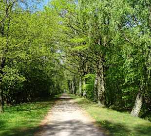 Spaziergang durch den Walter-Peters-Park