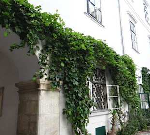 Im Blutgassenviertel