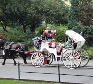 Kutschfahrt im Central PArk
