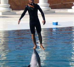 Dephinarium