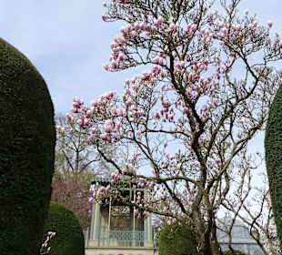 Wilhelma Stuttgart