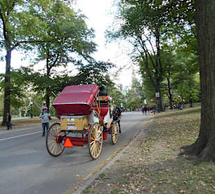 Die berühmten Pferdekutschen