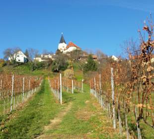 Aufstieg durch die Weingärten