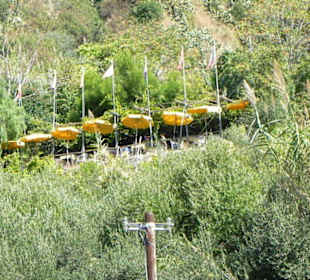Blick vom Wanderweg auf den Park
