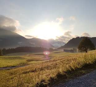 Wandern St. Martin im Lammertal
