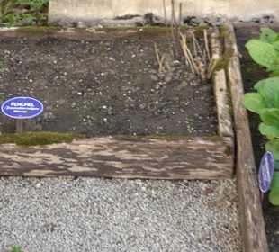 Kräutergarten Blaubeuren