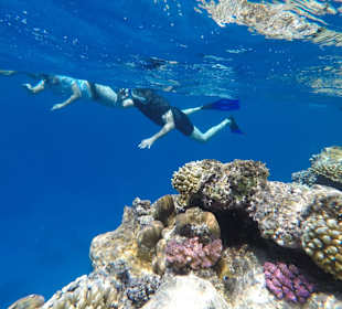 Schnorcheln Marsa Alam