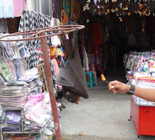 Touristen Belustigung