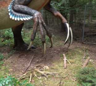 Dinosaurier Museum Altmühltal