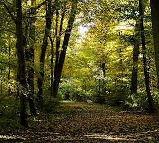 Herbstspaziergang durch den Bürgerpark Bremen