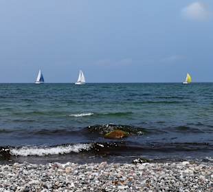 Strand Diedrichshagen