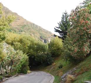 Природа Новой Зеландии.