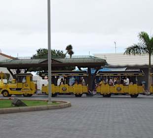 Loro Parque Bahn an der Promenade