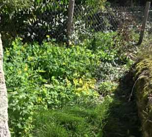 Brunnenhaus Upfingen