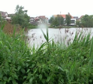 Altstadt Bad Waldsee
