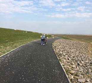 Richtung Husum 