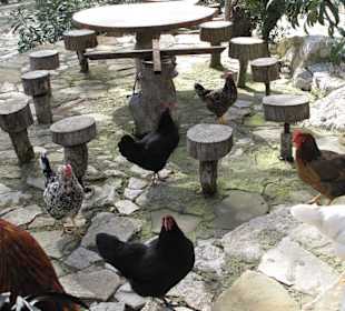 Wir werden umzingelt