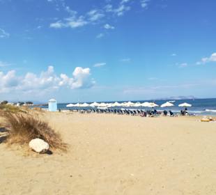 Strand Analipsis