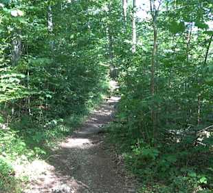 Wandertour Greifensteinrunde