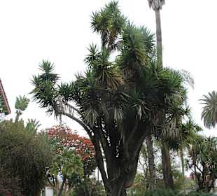 Santa Barbara Courthouse