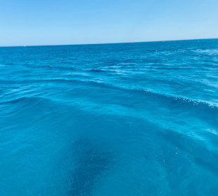 Sataya reef Marsa Alam