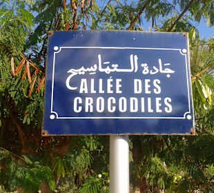 Krokodilfarm Animalia