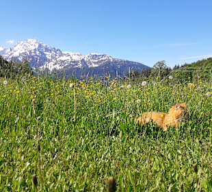 Wandern Berchtesgaden