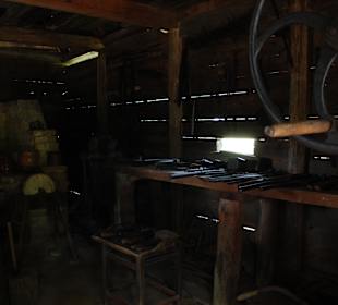 Muzeum Wsi Lubelskiej